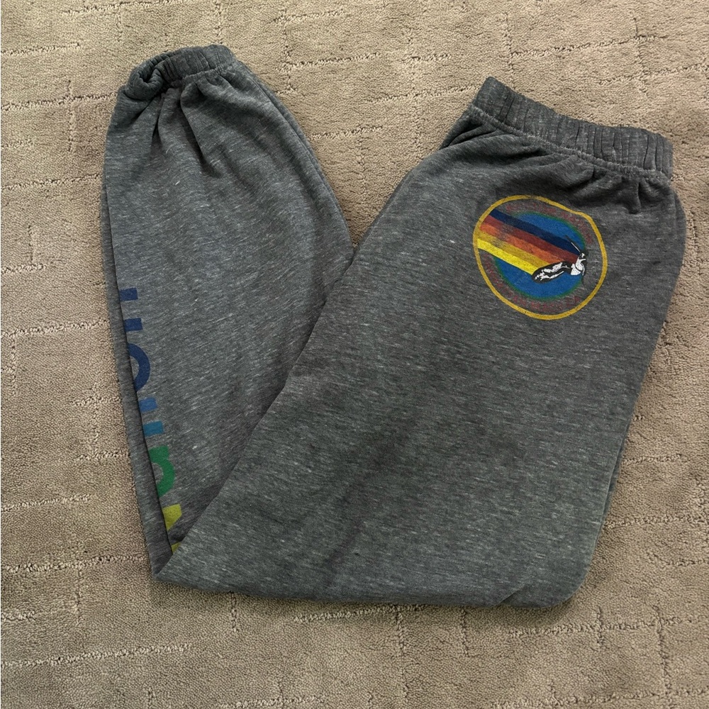 Aviator Nation Gray XL Sweatpants